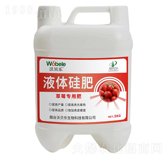 ��ݮ����Һ�w���-��ؐ��