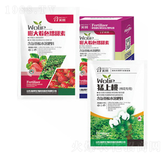 �����ɫ������-嫰�����