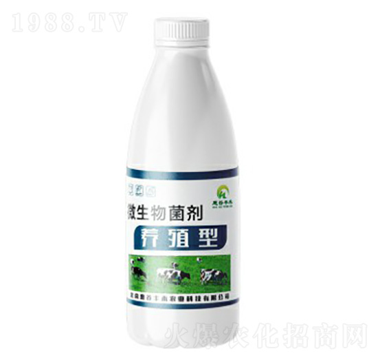 �B(y��ng)ֳ��΢�������-�ݹ��S��