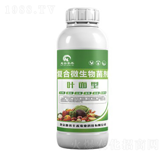 �~���͏�(f��)��΢�������-�ݹ��S��