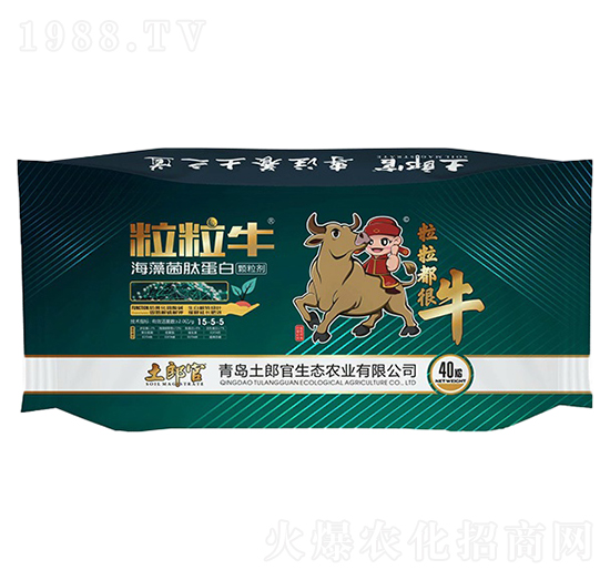 ��������������ĵ���-���ɹ�