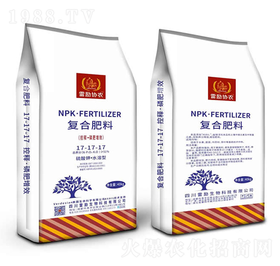 �׷��͏ͺϷ���17-17-17-�ׄ�����