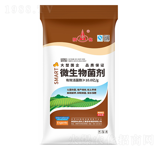 10�|΢�������-ꃻ�