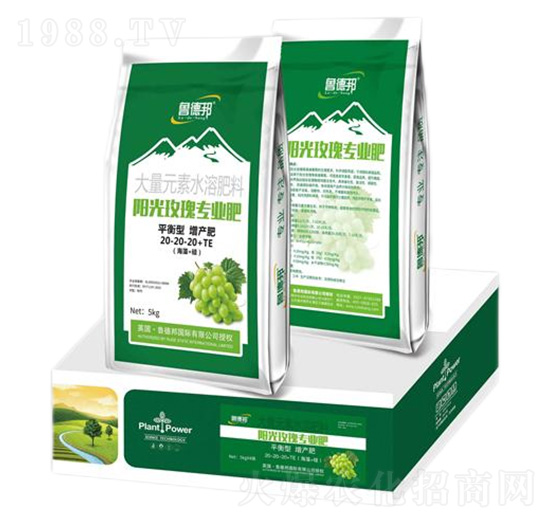 ꖹ�õ�匣��ƽ���ʹ���Ԫ��ˮ�ܷ���20-20-20+TE-��?sh��)°? style=