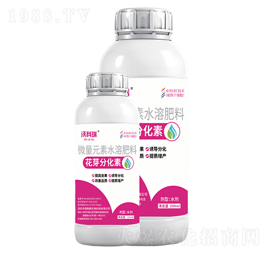 ��ѿ�ֻ���-�ֿ���-����ķ