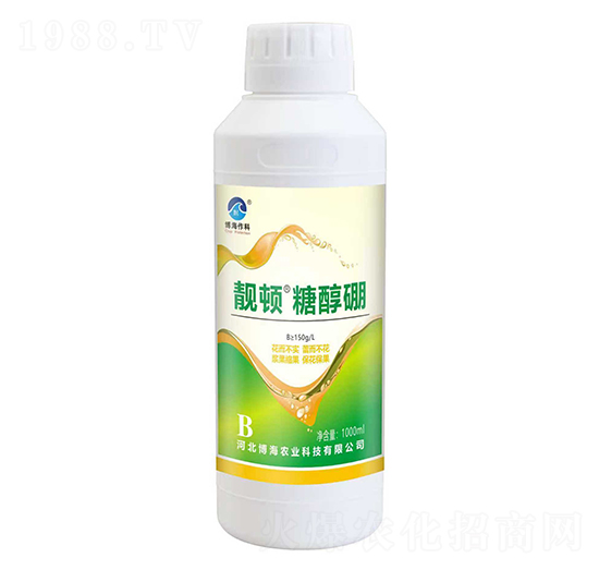 �n�D�Ǵ���-��������