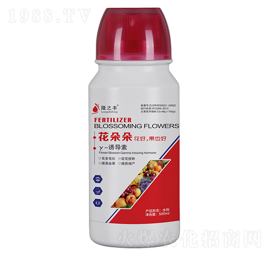 �����-¡֮�S