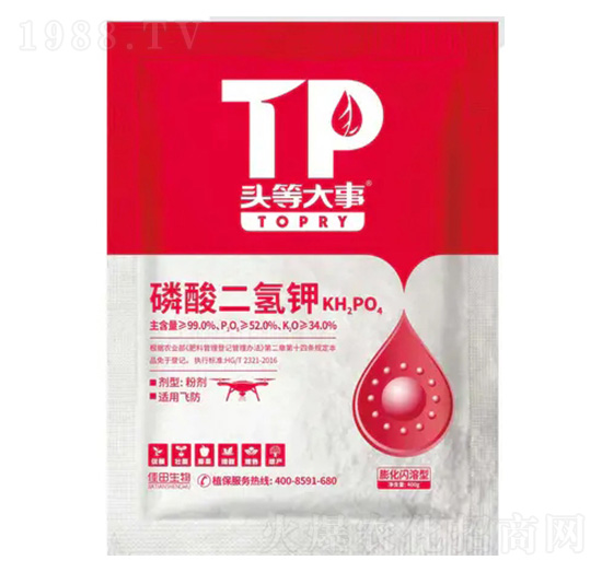 ���W������������-�^�ȴ���-��������