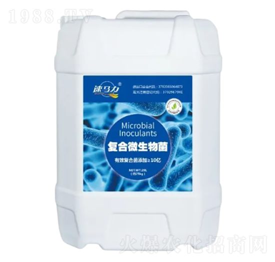 �ͺ�΢�����-�а����r