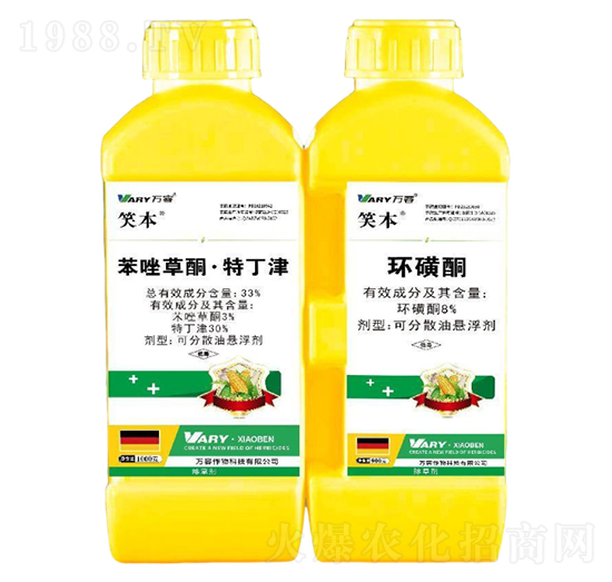 33%�����ͪ���ض���+8%�h(hu��n)��ͪ-Ц��-�f��