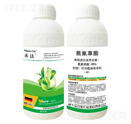 40%�������-�̷�-�f��