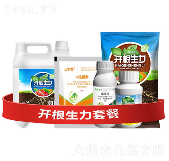 �_�������ײ͢�-�_������-�ƴ�Ƽ�