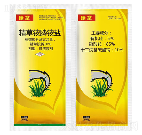 10%�����@��@�}-����-�t̫�(y��ng)