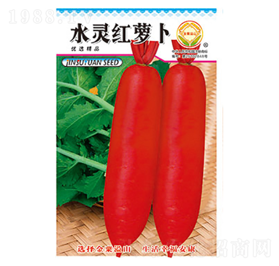 �}���N��-ˮ�`�t�}��-̫��(l��)�N�I(y��)