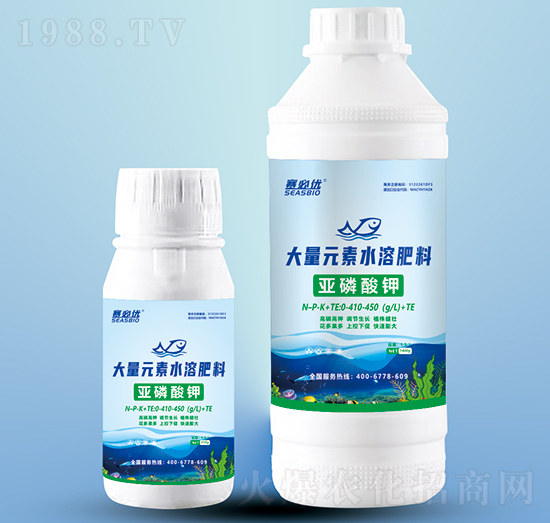 �������-ِ�؃�(y��u)