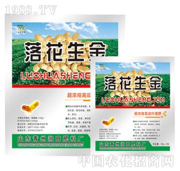 ��(r��n)��-�仨����