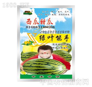 ��(r��n)��-������ϾG�~����