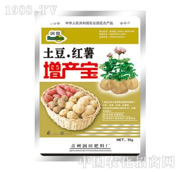 ����-�����t�����a(ch��n)��