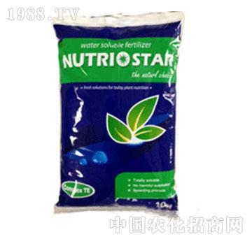 ���֐�ؐ˹��-�δ�15-15-30+TE