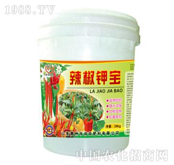 ����-����⛌�