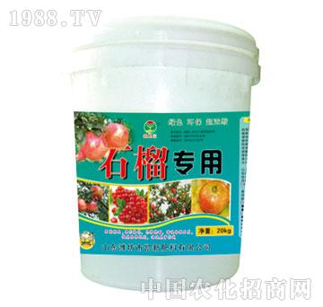 ��(r��n)��-ʯ����