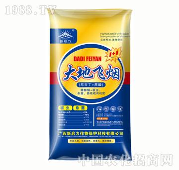 ����w��1+1�������