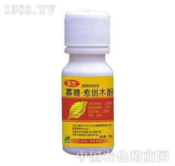 ��������(chu��ng)ľ��-��(f��)��-˼