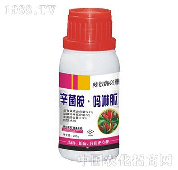 5.9%������������-�������ؿ�-˼�h����