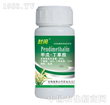 60%���춡�ݰ�-���e-�{���r�I(y��)