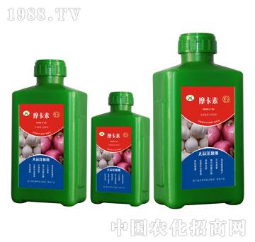 �������[���ð���������Һ�ķ�-Ħ����-��(qi��ng)о��(gu��)�H