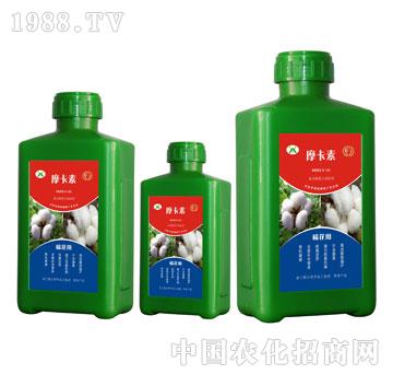 �޻����ð���������Һ�ķ�-Ħ����-��(qi��ng)о���H