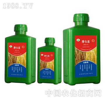 ���Z���ð���������Һ�ķ�-Ħ����-��(qi��ng)о��(gu��)�H