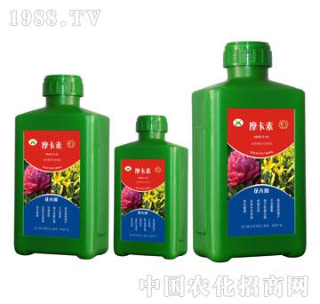 ���܌��ð���������Һ�ķ�-Ħ����-��о���H