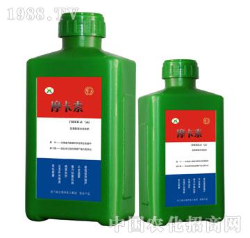 ����������Һ�ķ�-Ħ����-��(qi��ng)о��(gu��)�H