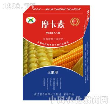 ���׌��ð���������Һ�ķ�-Ħ����-��(qi��ng)о��(gu��)�H