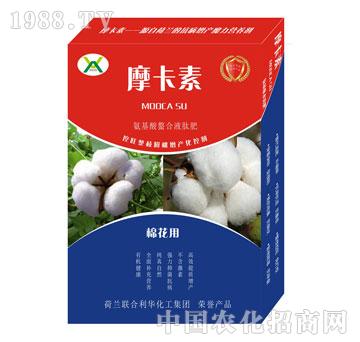 �޻����ð���������Һ�ķ�-Ħ����-��(qi��ng)о���H