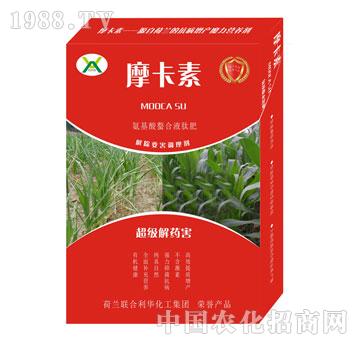 ����(j��)��ˎ������������Һ�ķ�-Ħ����-��(qi��ng)о��(gu��)�H