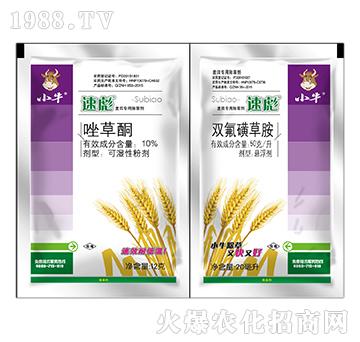 Сţ�ٱ��p�B��-10%���ͪ+�p���ǲݰ�