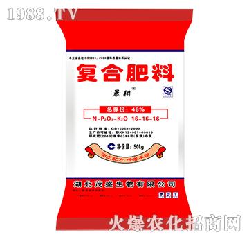 �ͺϷ���16-16-16-ïʢ