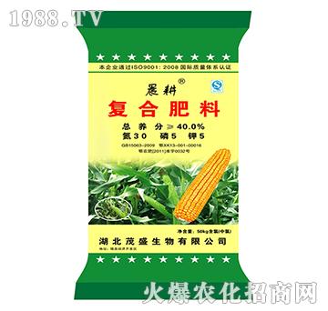 �ͺϷ���30-5-5-����-ïʢ