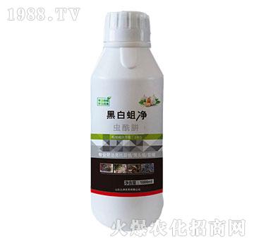 20%�x����-�ڰ�����-�읙����