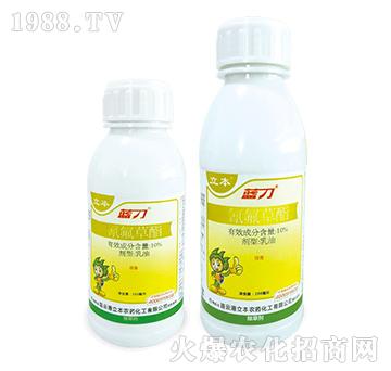 10%�����������-�{��-��������