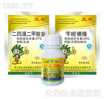 57%���ĵζ��װ��}����-��������