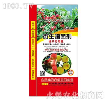 ���ӌ�(zhu��n)��΢�������-���r(n��ng)