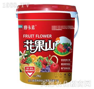 花果山-摩卡素-強(qiáng)芯國際