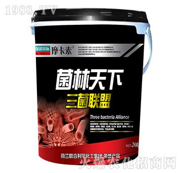 菌林天下三菌聯(lián)盟-摩卡素-強芯國際