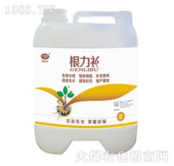 �����a-�r(n��ng)�_(d��)����