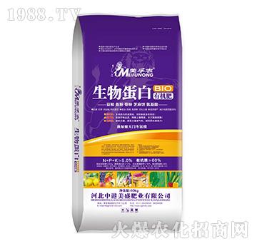 ���ﵰ���ЙC��