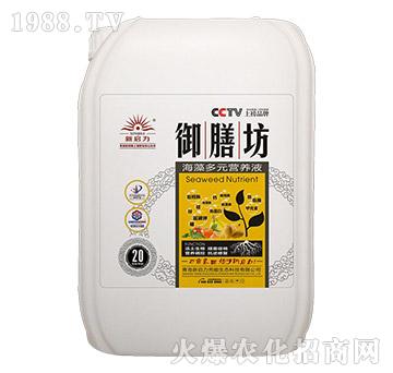 20kg�����Ԫ�I�B(y��ng)Һ-���ŷ�-����