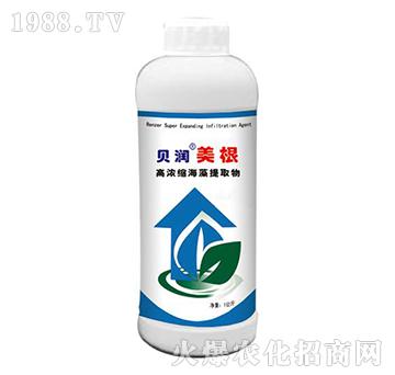 �ߝ�s������ȡ��-ؐ������-ɭ��